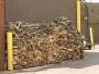 Corky's Woodpile